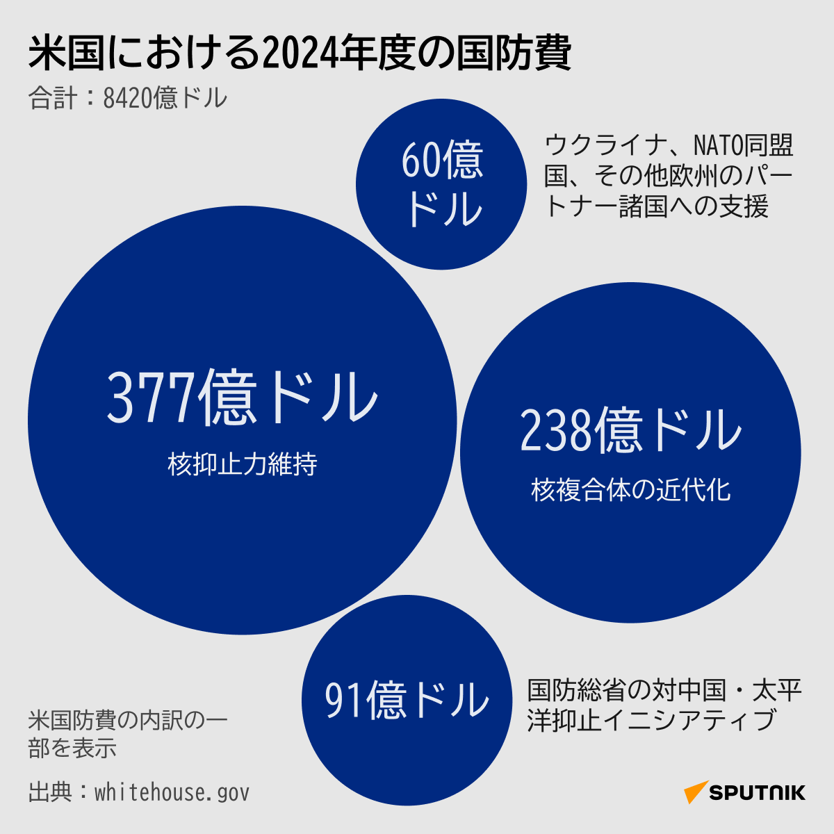 米国における2024年度の国防費 - Sputnik 日本