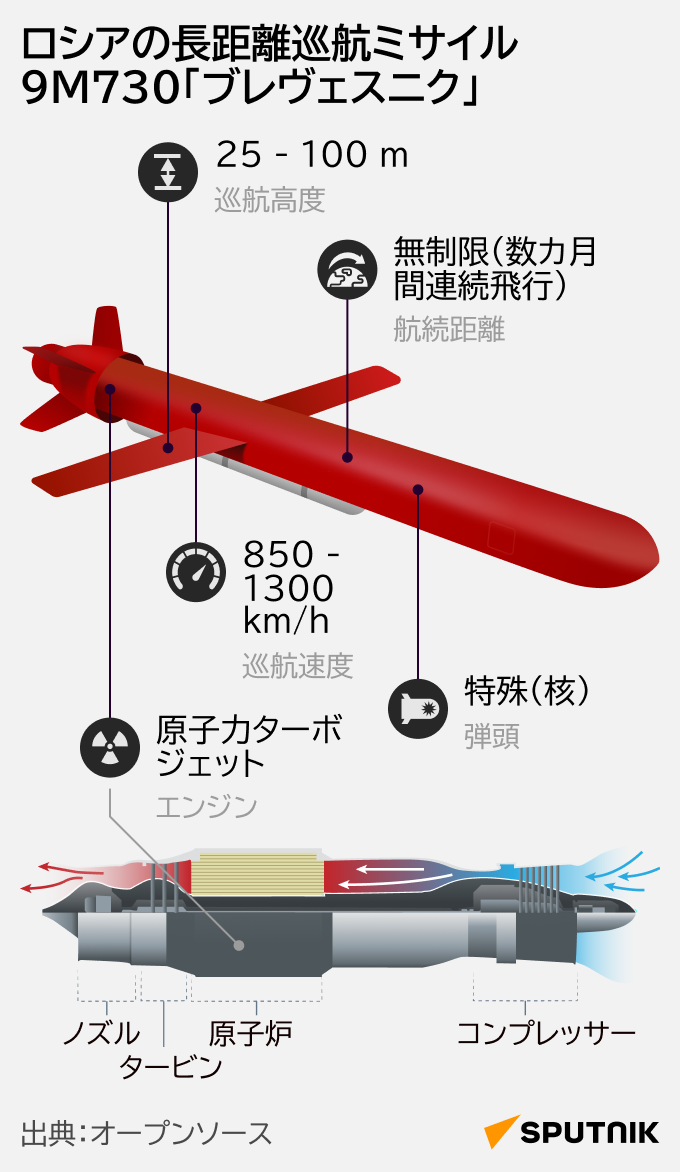 ロシアの長距離巡航ミサイル 9M730「ブレヴェスニク」 - Sputnik 日本