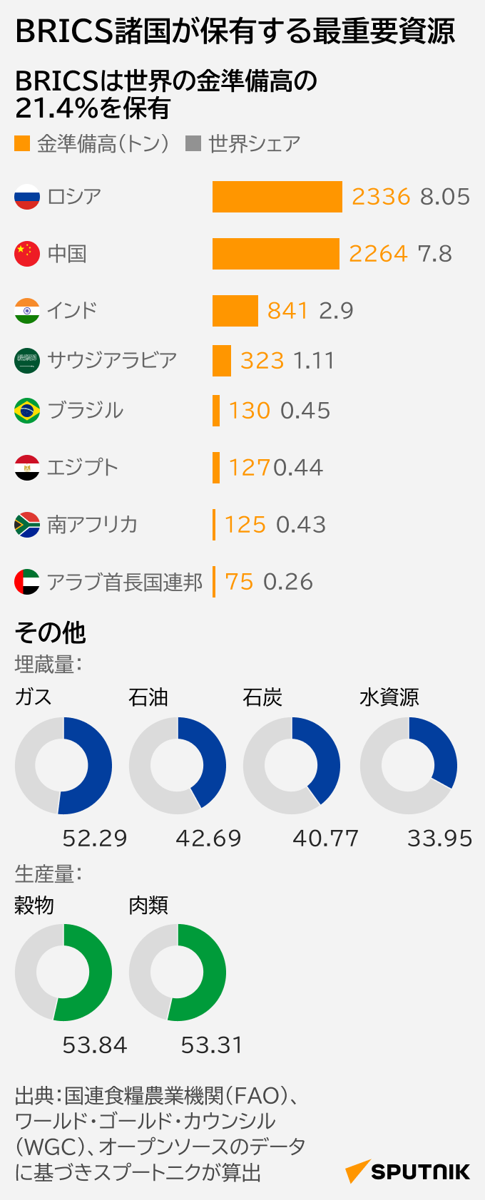 BRICS諸国が保有する最重要資源 - Sputnik 日本