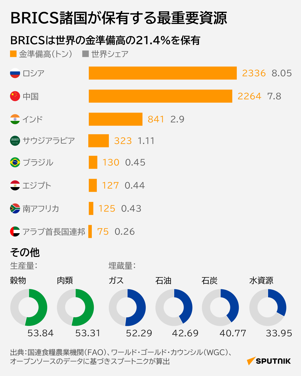 BRICS諸国が保有する最重要資源 - Sputnik 日本