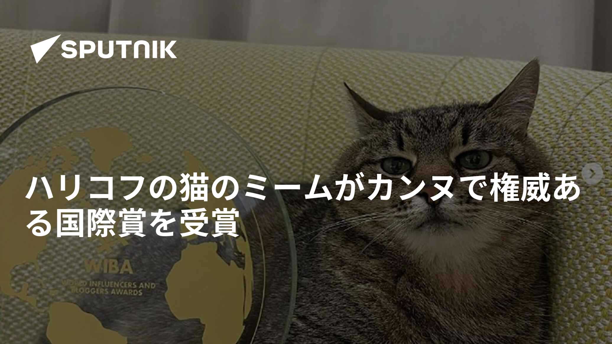 ハリコフの猫のミームがカンヌで権威ある国際賞を受賞 - 2022年5月19日 