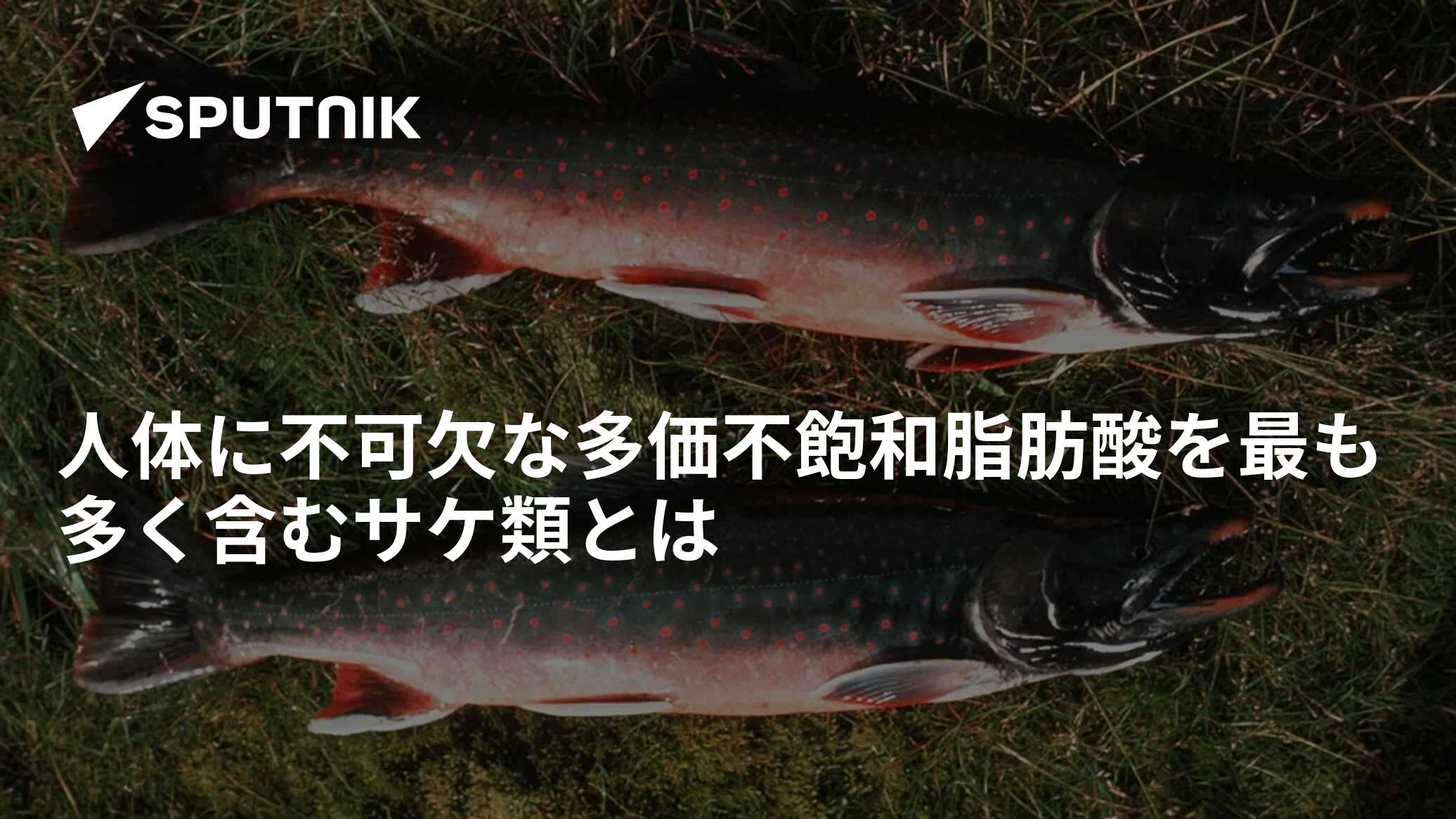 人体に不可欠な多価不飽和脂肪酸を最も多く含むサケ類とは - 2022年9月12日, Sputnik 日本