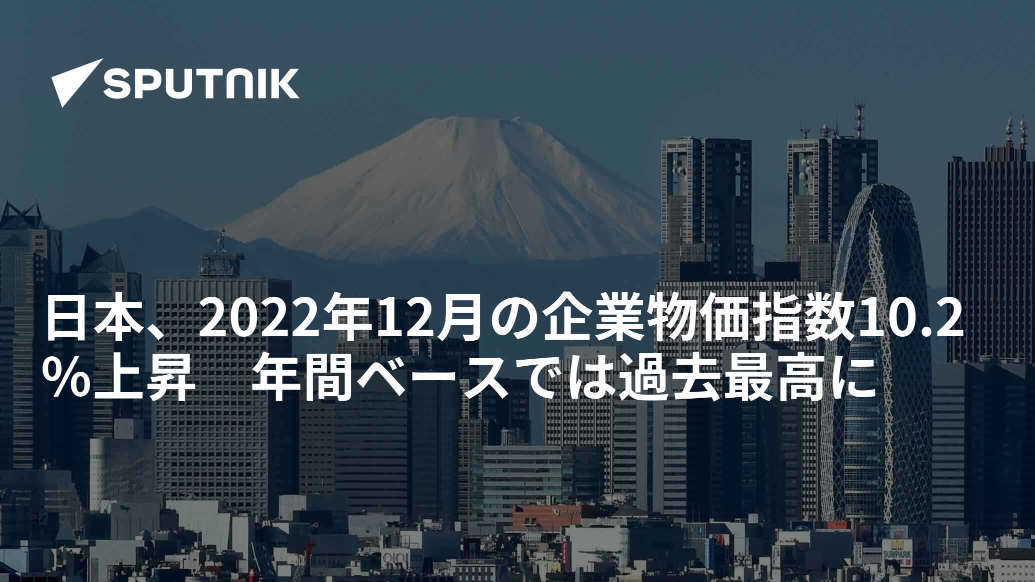 日本、2022年12月の企業物価指数10.2％上昇　年間ベースでは過去最高に