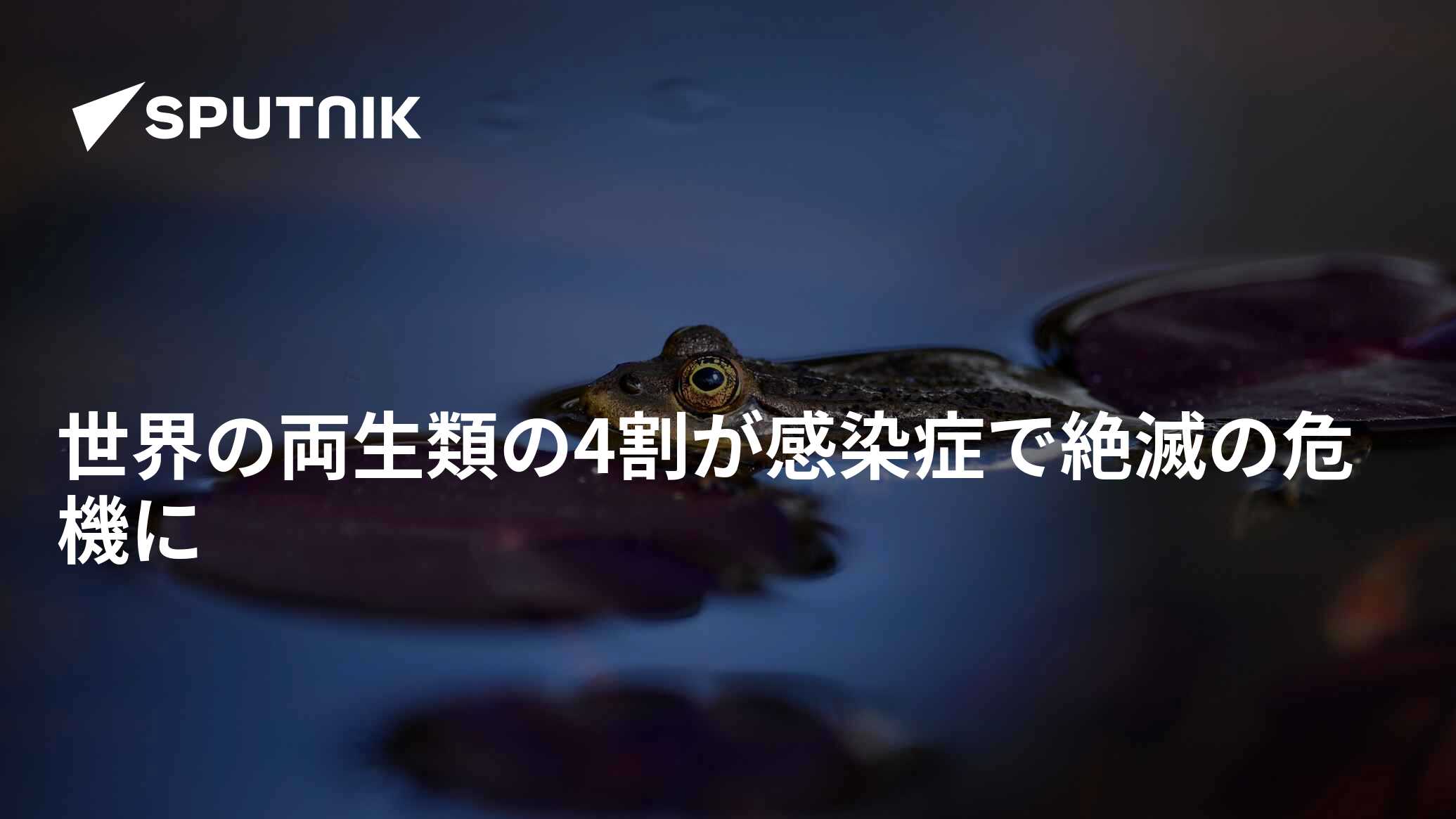 世界の両生類のほぼ半数が絶滅の危機に瀕している