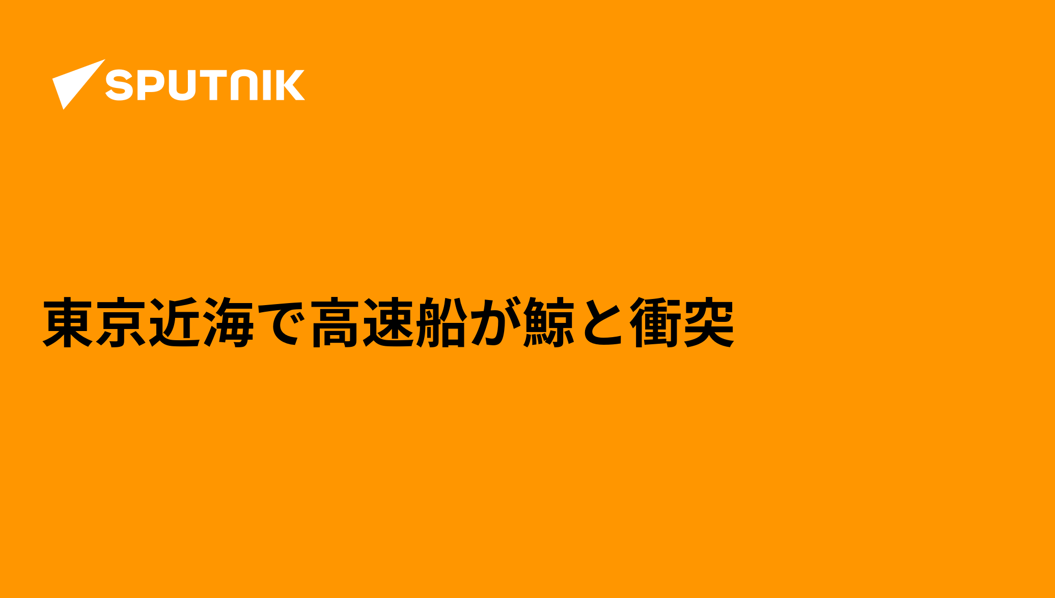 東京近海で高速船が鯨と衝突 2016年2月6日, Sputnik 日本