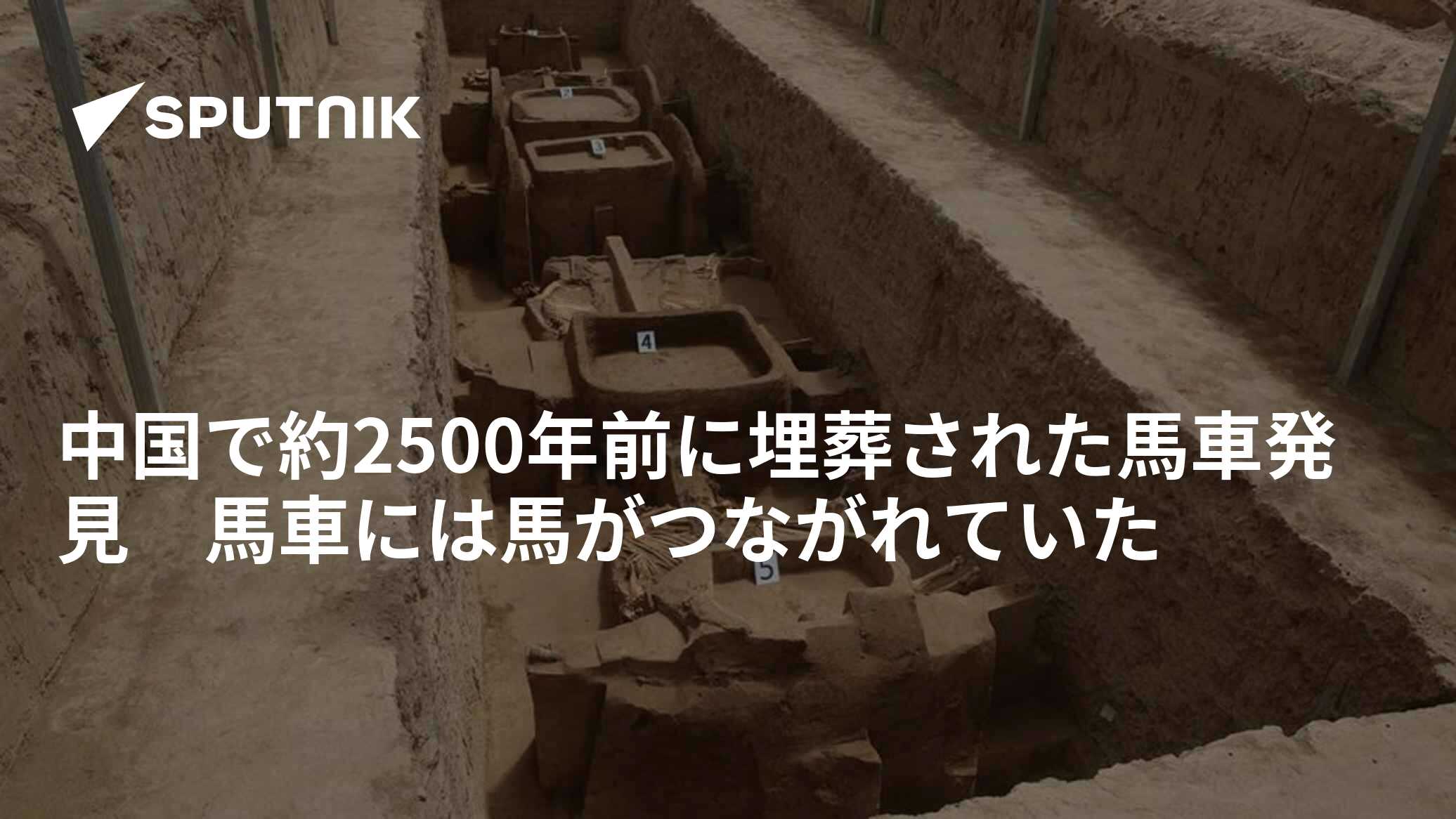 中国で約2500年前に埋葬された馬車発見 馬車には馬がつながれていた