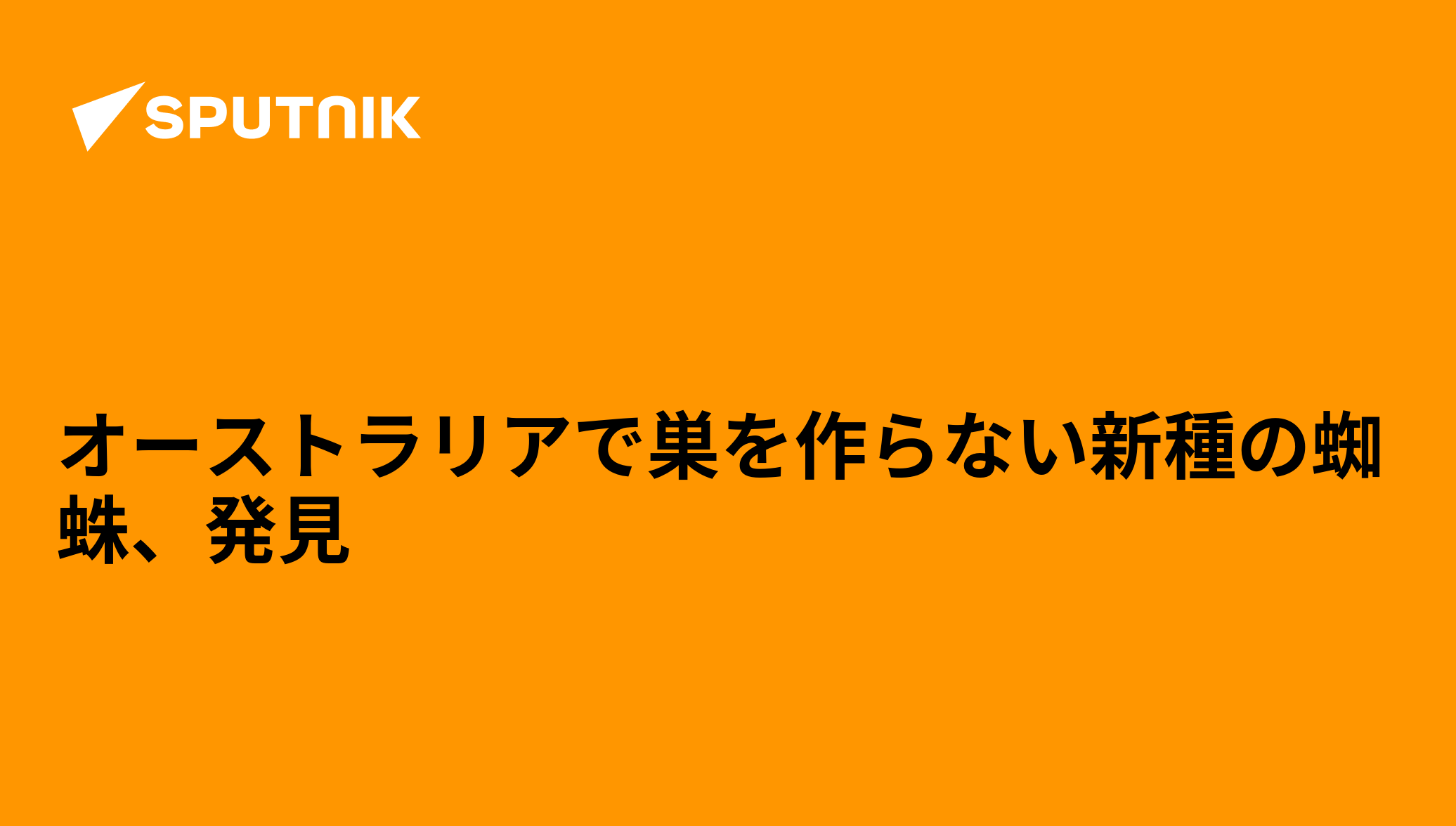 オーストラリア：最長20年生きる新種のクモが発見される