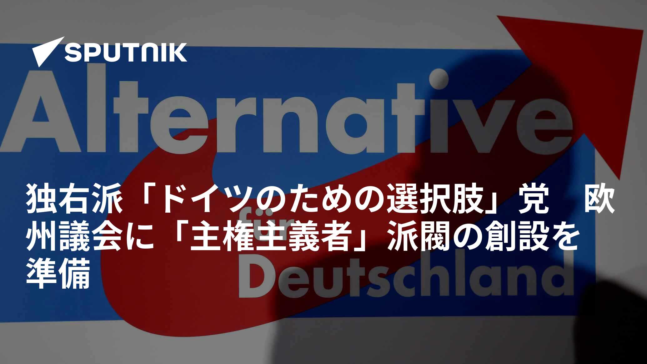 独右派「ドイツのための選択肢」党 欧州議会に「主権主義者」派閥の創設を準備 2024年6月23日, Sputnik 日本