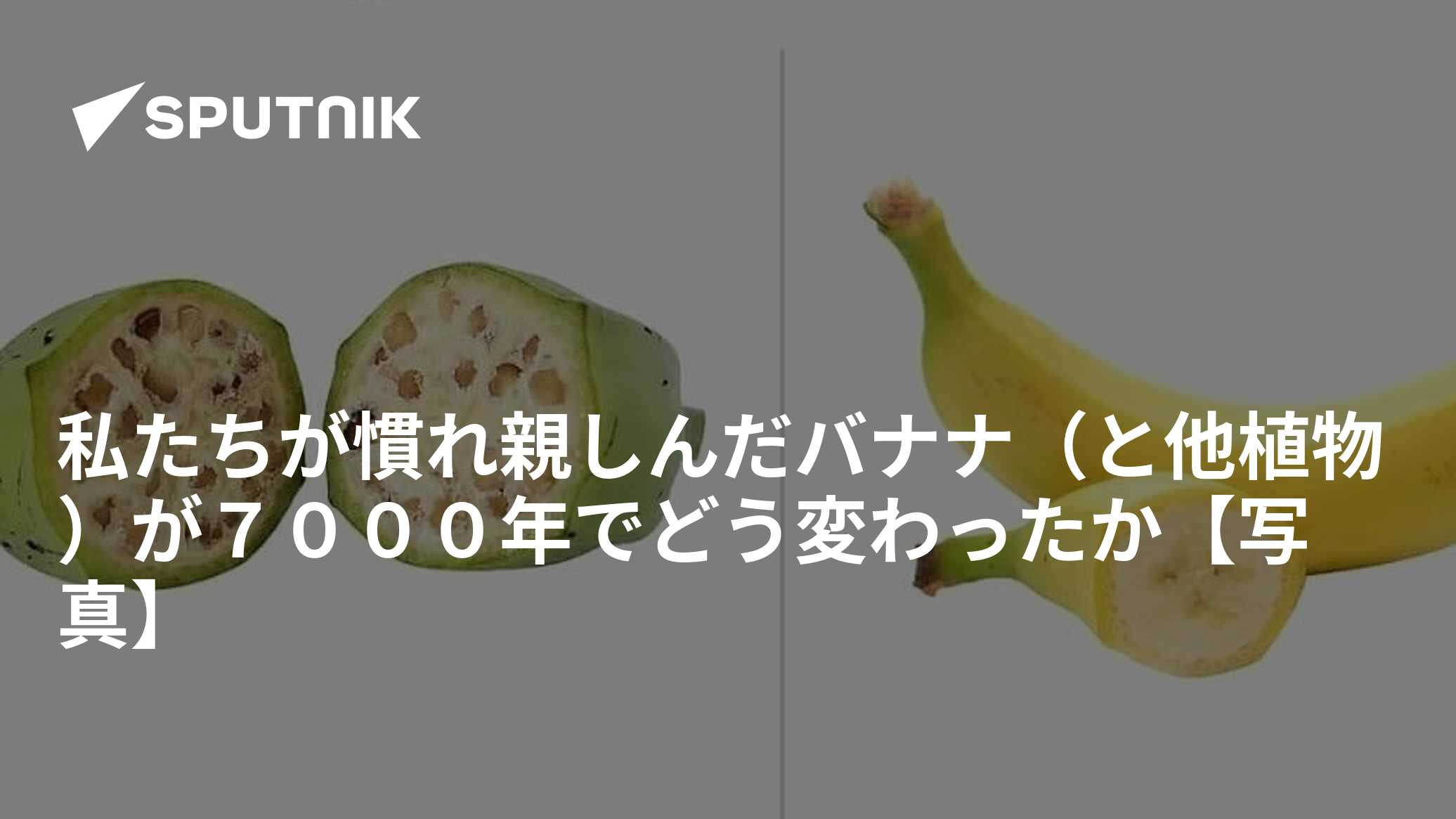私たちが慣れ親しんだバナナ（と他植物）が7000年でどう変わったか【写真】 - 2018年5月15日, Sputnik 日本