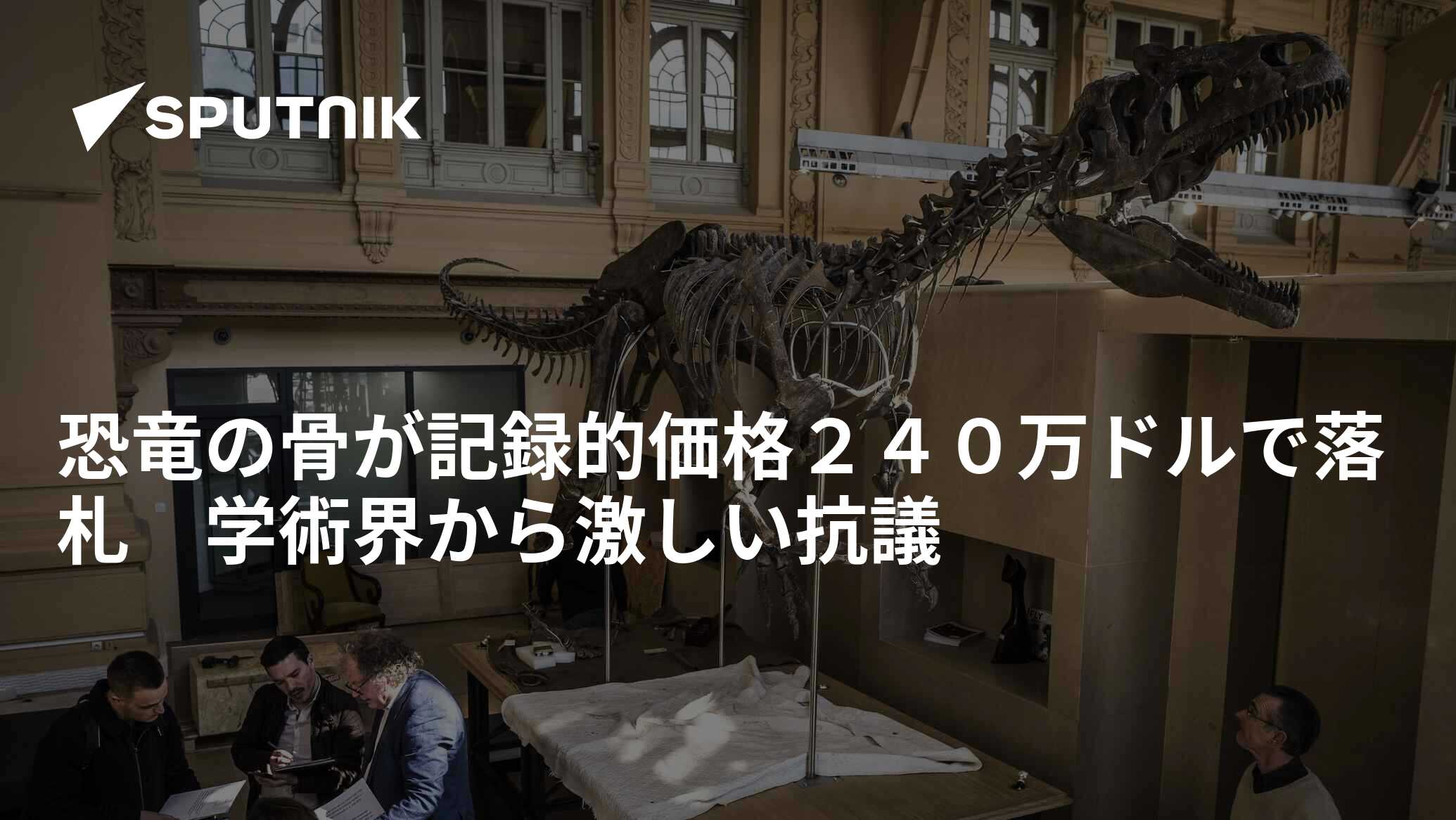 恐竜の骨が記録的価格２４０万ドルで落札 学術界から激しい抗議 - 2018年6月8日, Sputnik 日本
