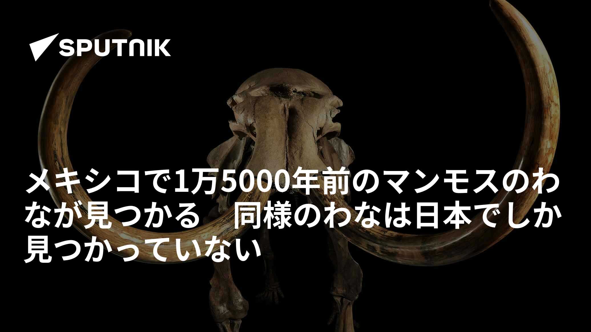 メキシコで1万5000年前のマンモスのわなが見つかる 同様のわなは日本で