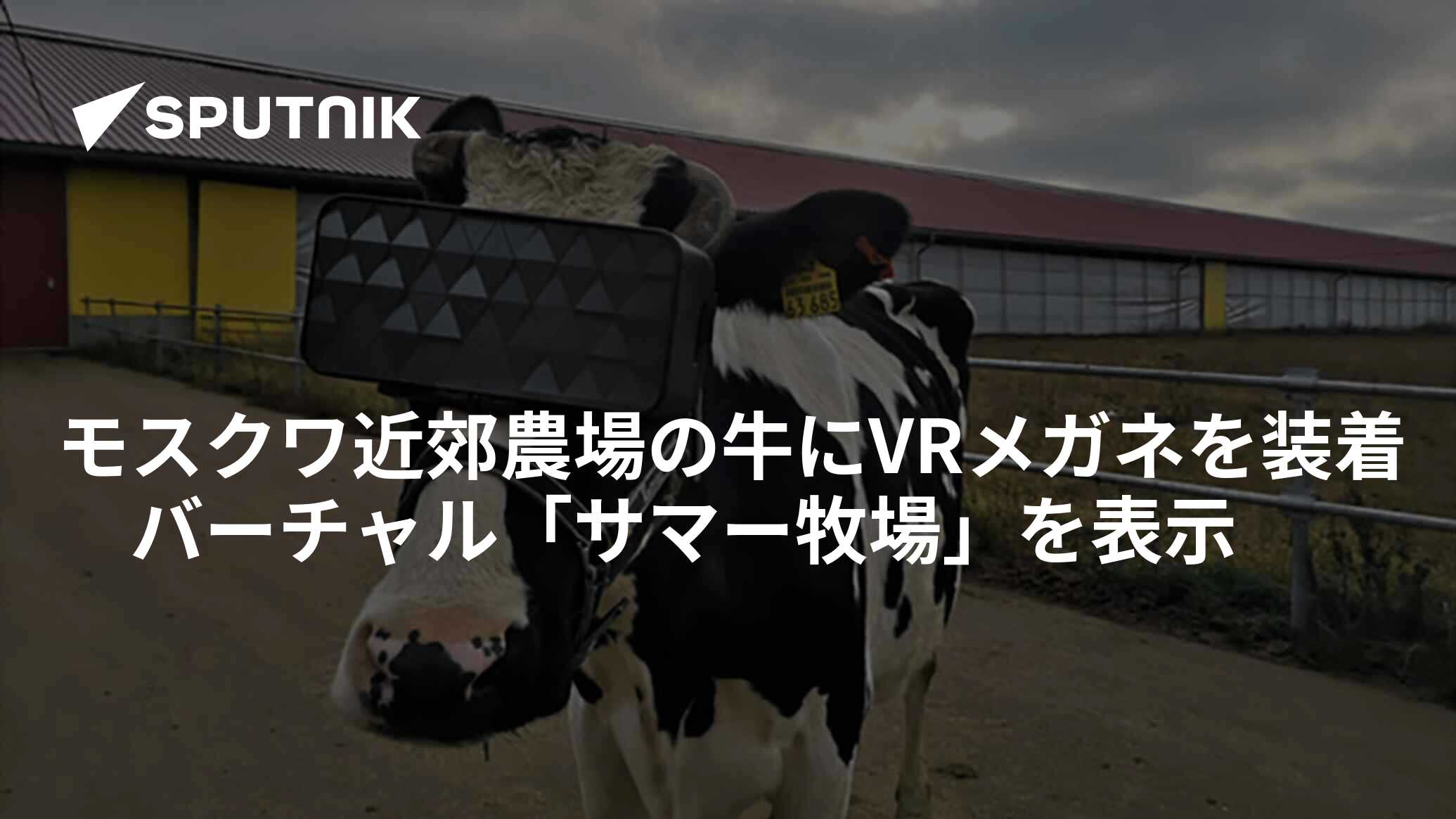 めがね牧場ページ めがね牧場ページ モスクワ近郊農場の牛にVRメガネを装着 バーチャル