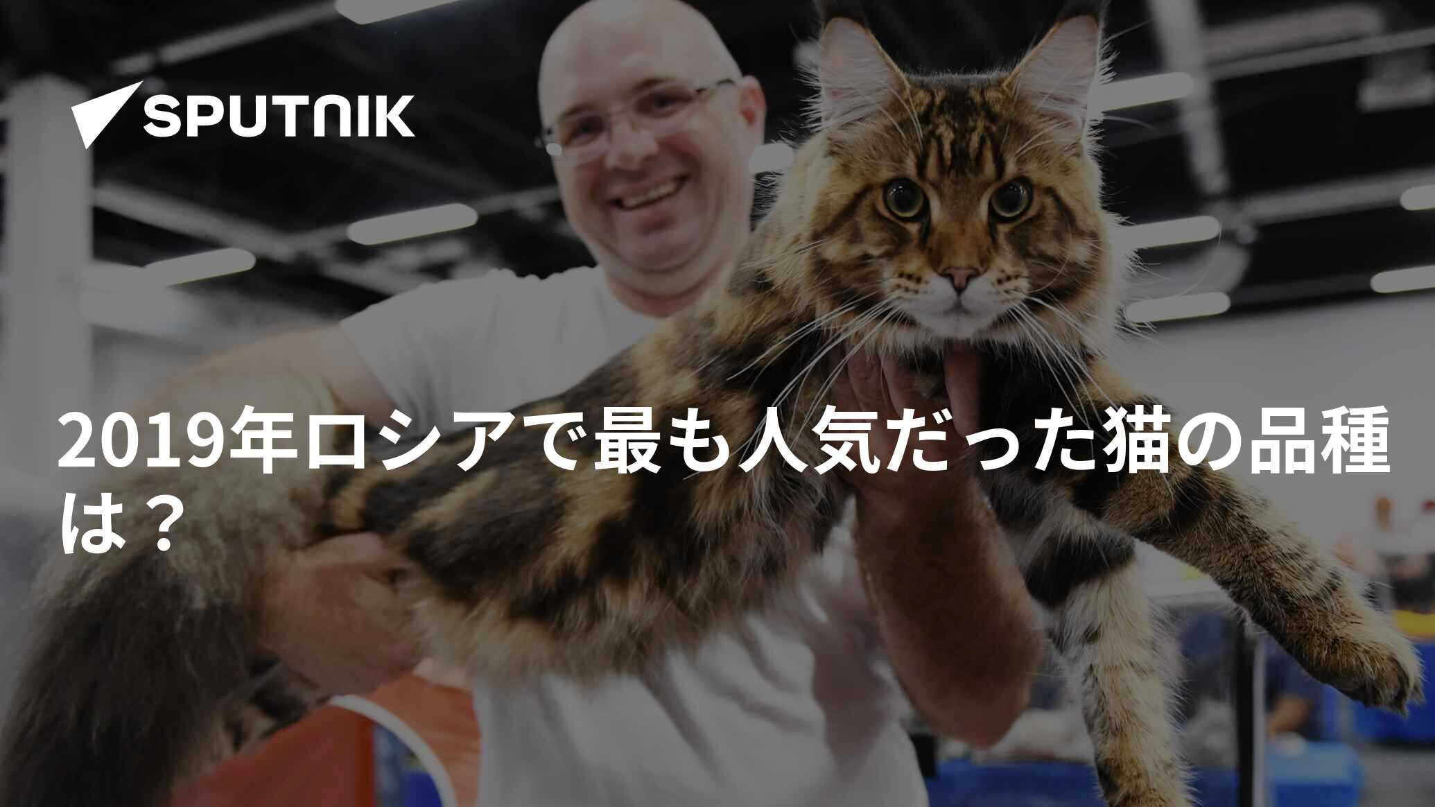 82 ロシアの猫の名前
