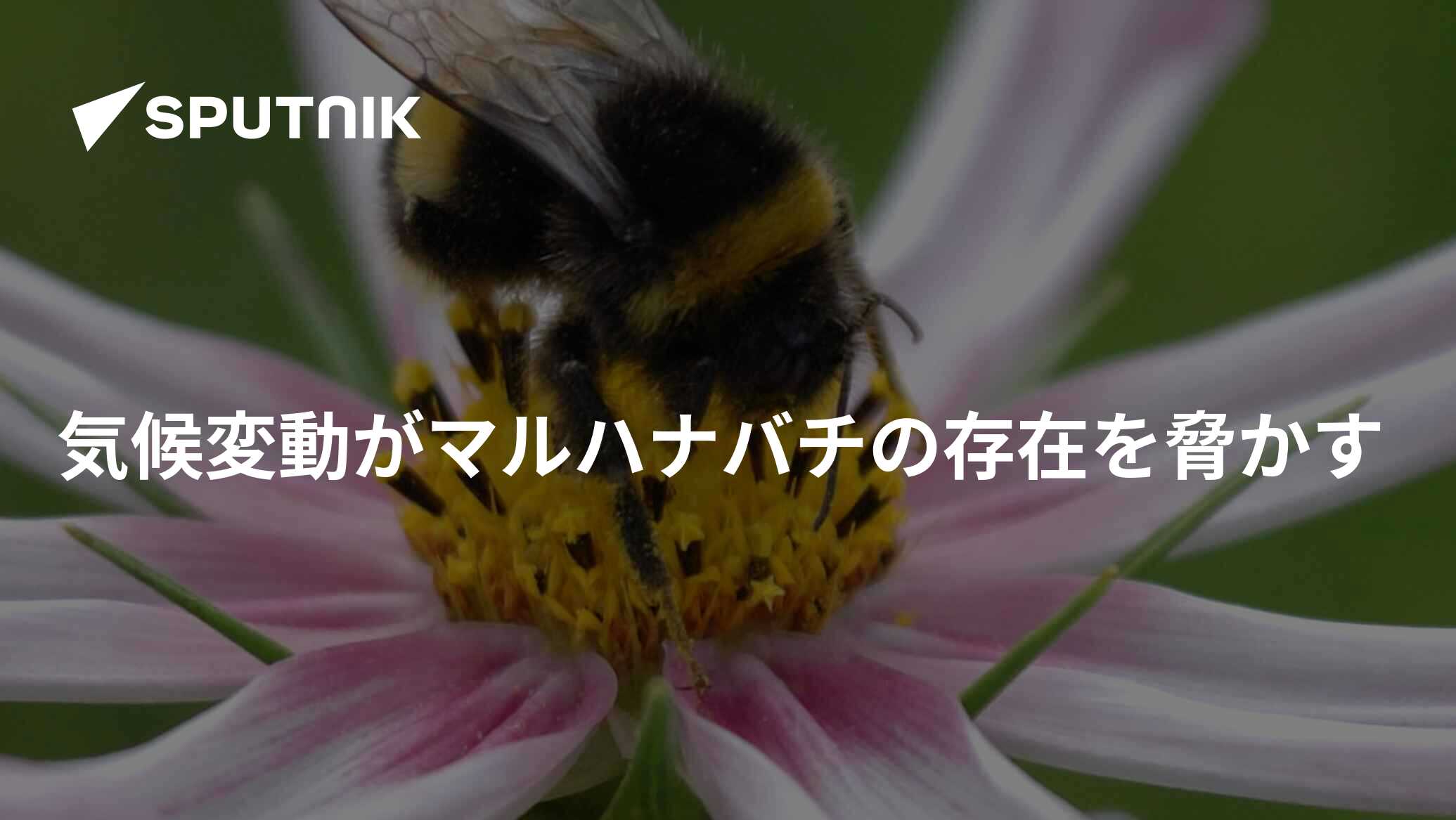 気候変動がパリオリンピックの選手たちを脅かす、科学者が警告