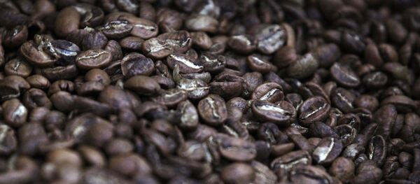 コーヒー コーヒー - Sputnik 日本