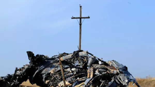 ウクライナ東部に墜落したマレーシア航空MH17便 - Sputnik 日本