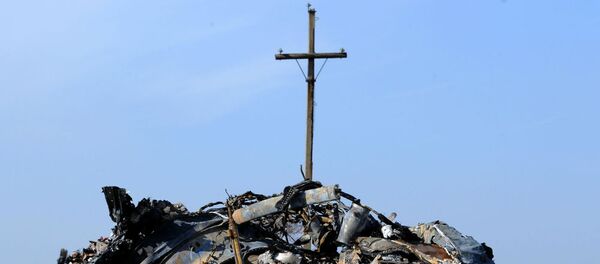 ウクライナ東部に墜落したマレーシア航空MH17便 ウクライナ東部に墜落したマレーシア航空MH17便 - Sputnik 日本