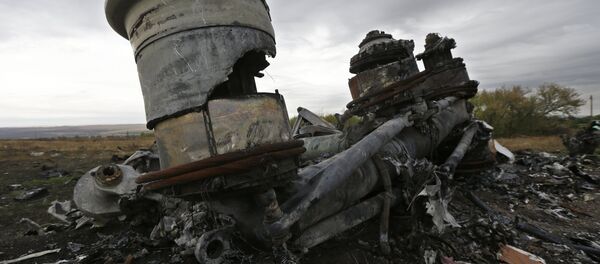 マレーシア航空MH17 マレーシア航空MH17 - Sputnik 日本