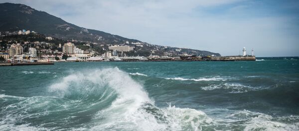 海 海 - Sputnik 日本