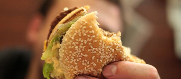 ハンバーガー ハンバーガー - Sputnik 日本
