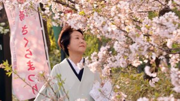 東京都千代田区の靖国神社で桜が開花したと発表した - Sputnik 日本