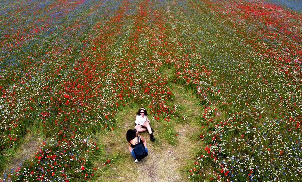 シビッリーニ国立公園の花畑を背景に写真を撮る女性（イタリア、ウンブリア州） - Sputnik 日本