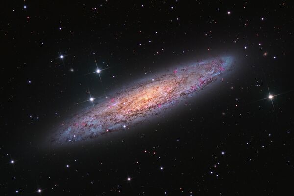 「Galaxies（銀河）」部門最終候補作品『NGC 253 - Starbust Galaxy in Sculptor（スターバースト銀河）』　Terry Robison氏（カナダ） - Sputnik 日本