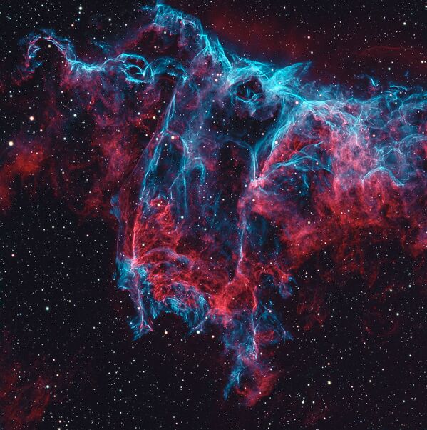 「Stars & Nebulae（星と星雲）」部門最終候補作品『The Bat Nebula（バット星雲）』　Josep Drudis氏（米国） - Sputnik 日本