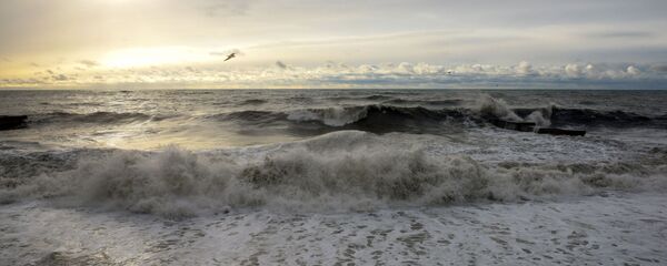 海 - Sputnik 日本