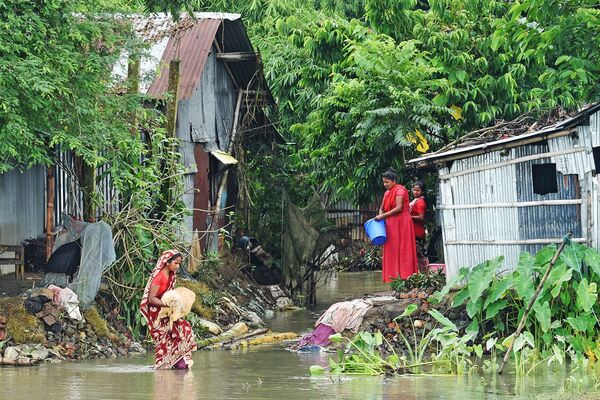バングラデシュ、スナムガンジの洪水によって浸水した地区で羊を運ぶ女性（2020年7月14日） - Sputnik 日本