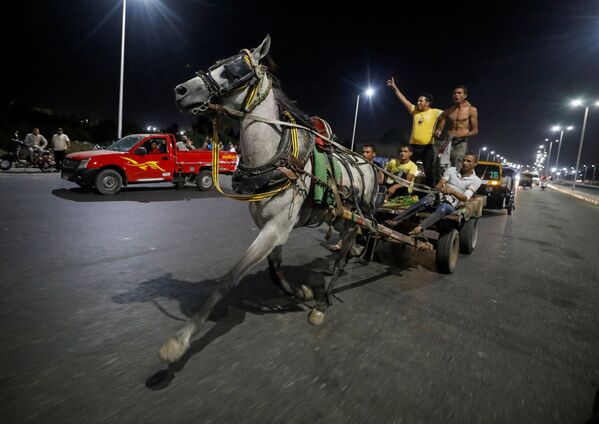 7月17日、エジプト首都カイロで馬車レースに参加する商人ら - Sputnik 日本