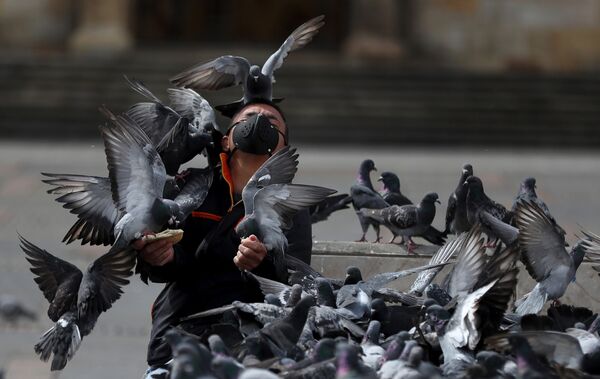 7月21日、コロンビアの首都ボゴタのボリバル広場で鳩に囲まれる男性 - Sputnik 日本
