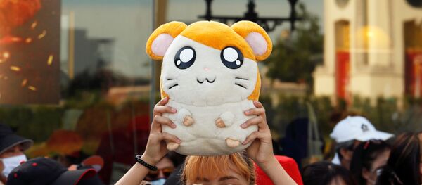 Девушка с плюшевым хомяком Hamtaro во время протестов в Бангкоке Девушка с плюшевым хомяком Hamtaro во время протестов в Бангкоке - Sputnik 日本