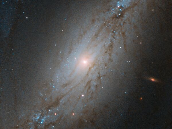 ハッブル宇宙望遠鏡がとらえた、ちょうこくしつ座にある棒渦巻銀河｢NGC 7513」。地球から約6000万光年離れた宇宙に存在し、秒速1564kmで地球から遠ざかっている - Sputnik 日本