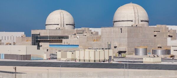 アラブ首長国連邦 アラブ社会ではじめて原子力発電所を計画 アラブ首長国連邦 アラブ社会ではじめて原子力発電所を計画 - Sputnik 日本