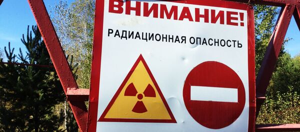 チェルノブイリ原発事故エリア チェルノブイリ原発事故エリア - Sputnik 日本