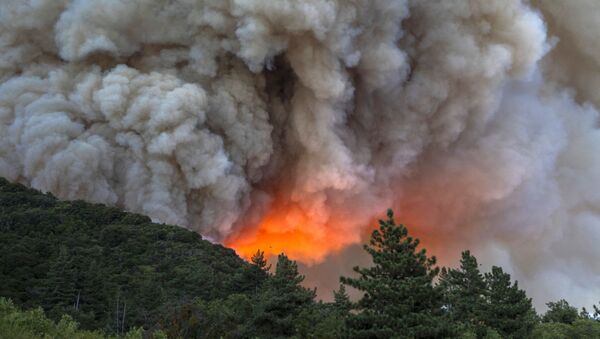 Дым и огонь от природных пожаров в Калифорнии  - Sputnik 日本
