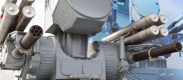 「パーンツィリ-ME」 - Sputnik 日本