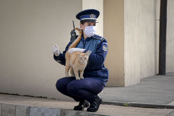 ルーマニア、首都ブカレストの警察官と仲良しな猫（2020年4月12日撮影） - Sputnik 日本
