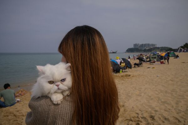 韓国、江原道束草（ソクチョ）市で飼い主の女性と浜辺を訪れる猫（2020年5月2日撮影） - Sputnik 日本