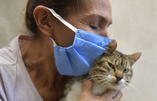 コロンビアの首都ボゴタで慈善団体に保護された猫（2020年5月2日撮影） - Sputnik 日本