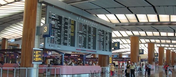 シンガポール・チャンギ国際空港 シンガポール・チャンギ国際空港 - Sputnik 日本