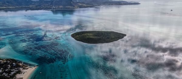 モーリシャス政府、船主に賠償請求　「わかしお」重油流出 - Sputnik 日本