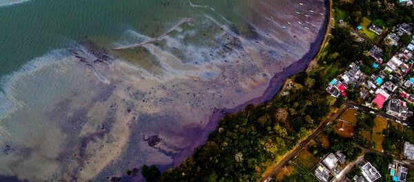 モーリシャス燃料流出 自然環境の回復に数十年=マスコミ モーリシャス燃料流出 自然環境の回復に数十年=マスコミ - Sputnik 日本