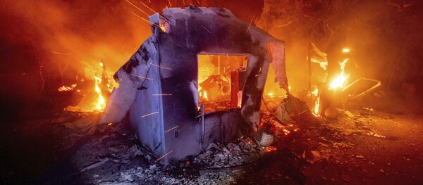 8月19日、カリフォルニア州ナパ郡で発生した山火事で全焼した家 - Sputnik 日本