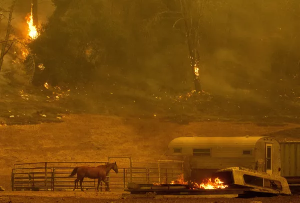 8月18日、カリフォルニア州ナパ郡の私有地に迫る山火事 8月18日、カリフォルニア州ナパ郡の私有地に迫る山火事 - Sputnik 日本
