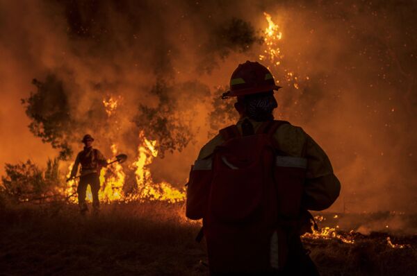 8月18日、カリフォルニア州モントレー郡カーメル・バレーで消火活動をおこなう消防隊員 - Sputnik 日本