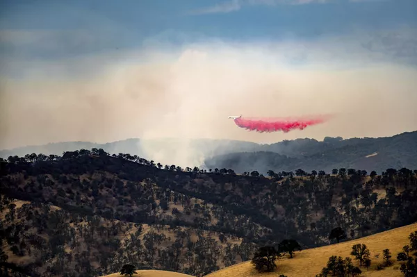 8月16日、カリフォルニア州コントラコスタ郡で、山火事が発生した場所に難燃剤を散布するエアタンカー 8月16日、カリフォルニア州コントラコスタ郡で、山火事が発生した場所に難燃剤を散布するエアタンカー - Sputnik 日本