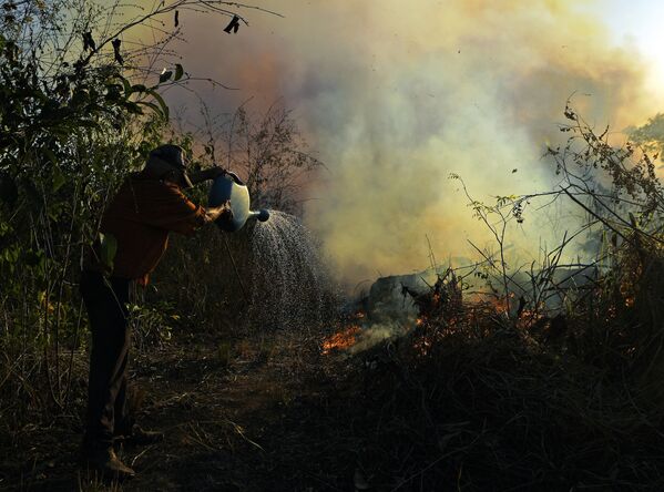 8月15日、ブラジル、パラ州のアマゾン熱帯雨林保護区で、焼き畑によって起こった火災の消火活動をする農家 - Sputnik 日本