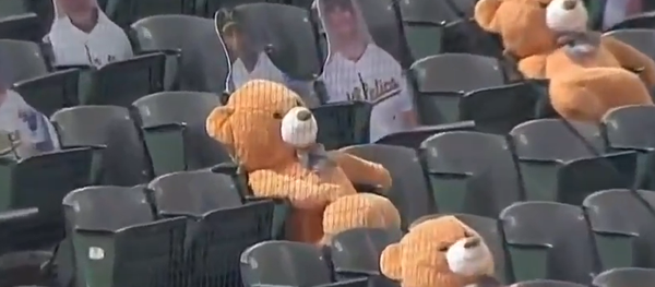 試合中まさかの出来事 テディベアにボールが直撃 試合中まさかの出来事 テディベアにボールが直撃 - Sputnik 日本